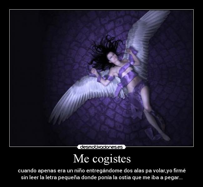 Me cogistes - 