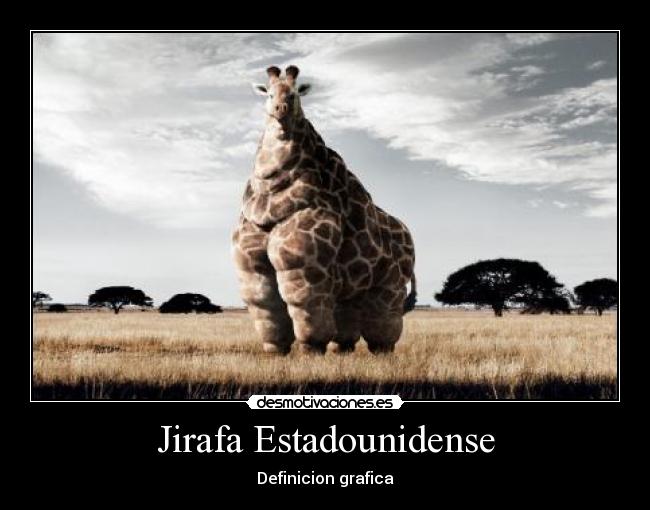 Jirafa Estadounidense - Definicion grafica