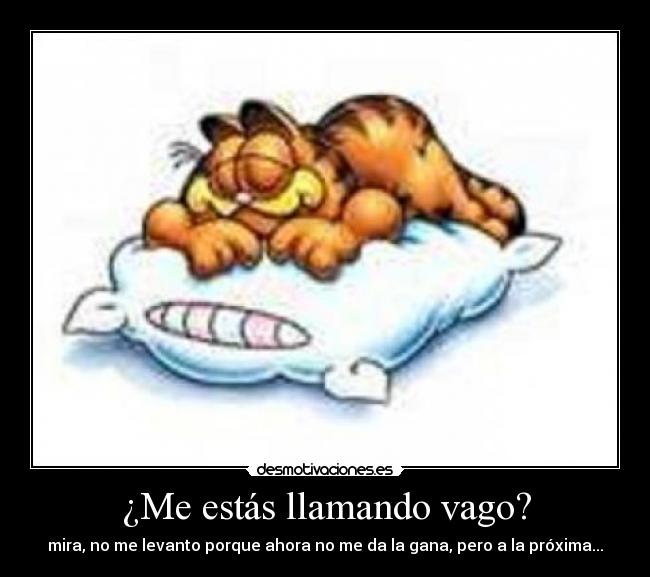 ¿Me estás llamando vago? - 