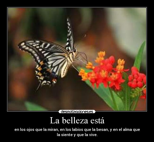 La belleza está - 
