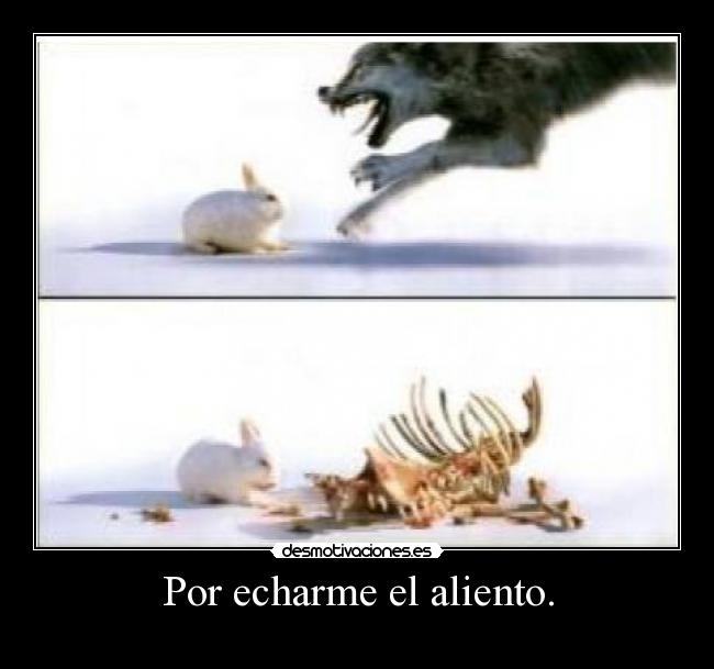 Por echarme el aliento. -