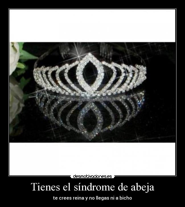 Tienes el síndrome de abeja -
