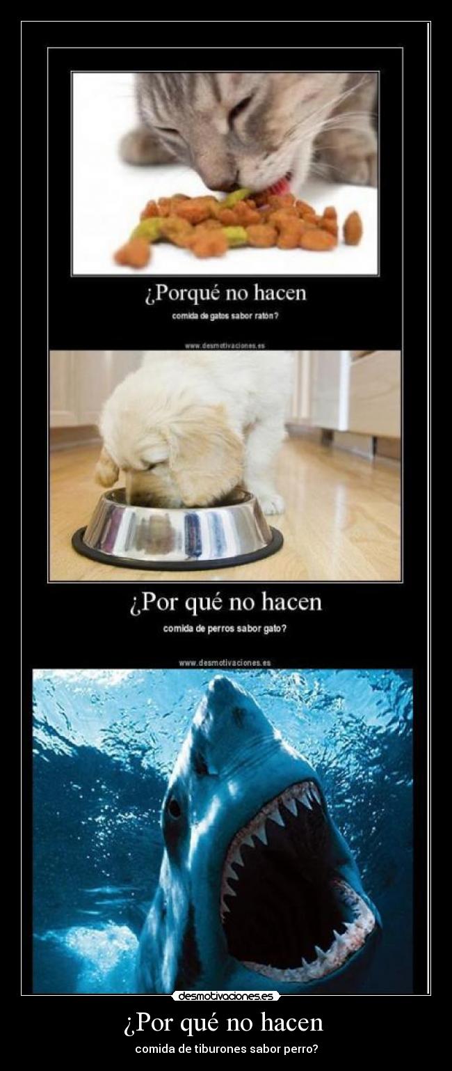 carteles sabor perro desmotivaciones