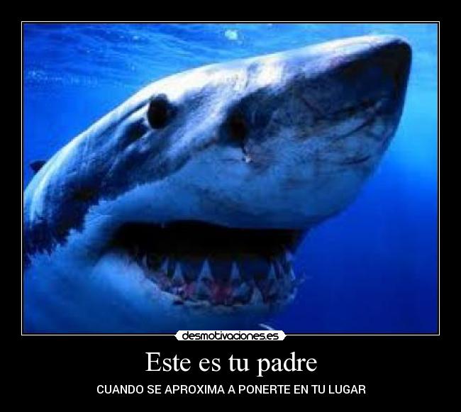 Este es tu padre - 
