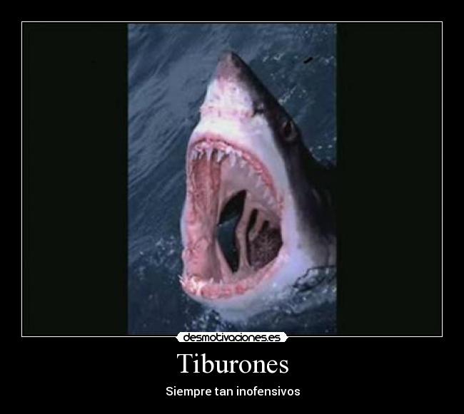 Tiburones - Siempre tan inofensivos