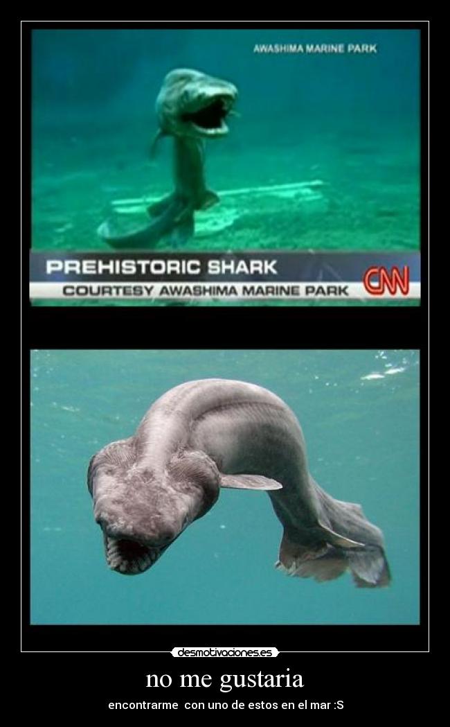 no me gustaria -
