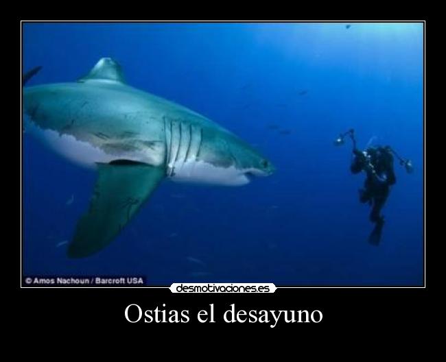 Ostias el desayuno -