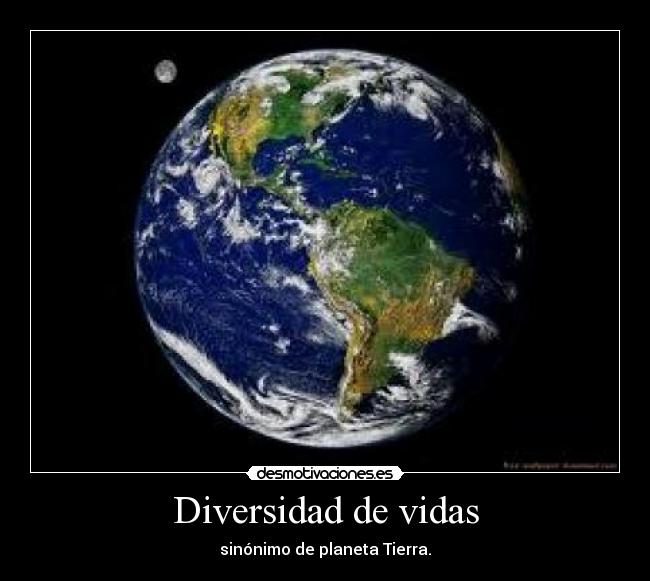 Diversidad de vidas - sinónimo de planeta Tierra.