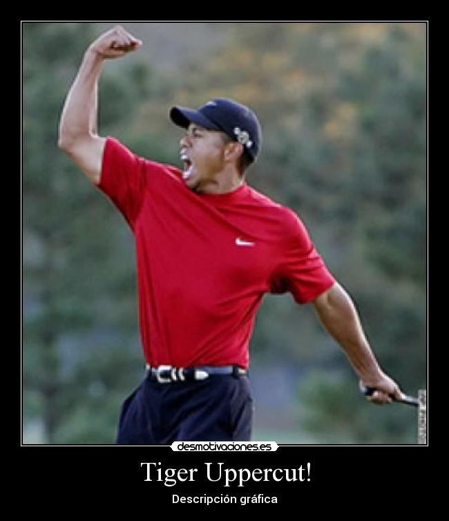 carteles tiger uppercut descripcion grafica desmotivaciones