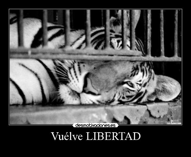 carteles libertad libertad desmotivaciones