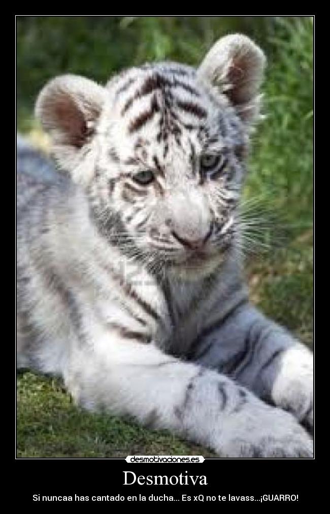 Desmotiva - Si nuncaa has cantado en la ducha... Es xQ no te lavass...¡GUARRO!