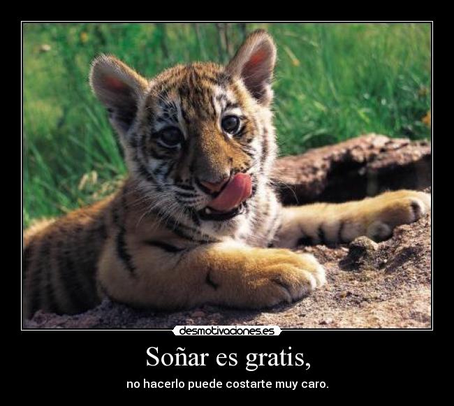 Soñar es gratis, - 