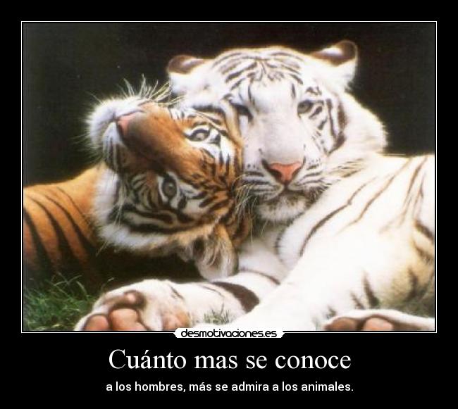 Cuánto mas se conoce -