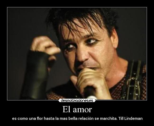 carteles amor till lindeman rammstein desmotivaciones