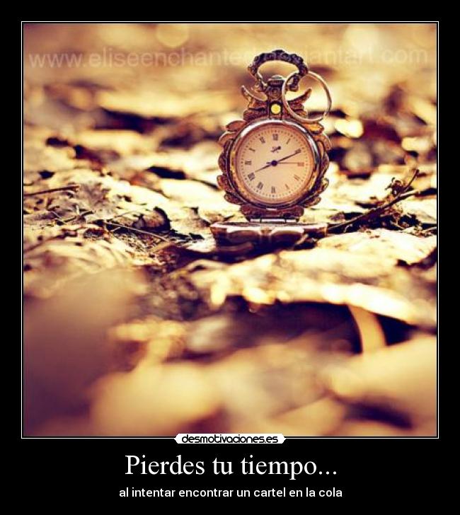 Pierdes tu tiempo... - 