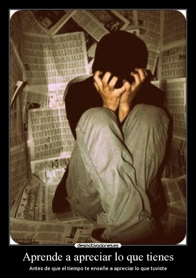 carteles aprende apreciar desmotivaciones