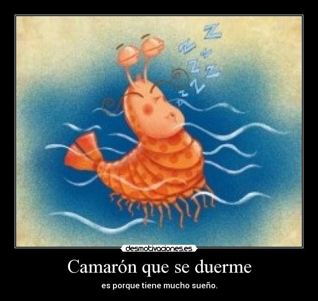 Camarón que se duerme - 