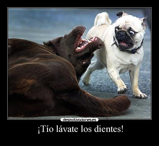 ¡Tío lávate los dientes! - 