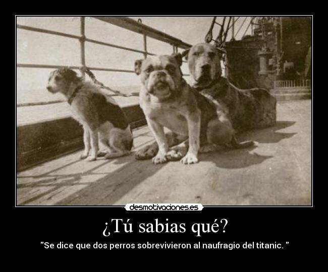 ¿Tú sabias qué? -