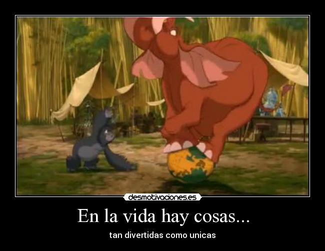 En la vida hay cosas... - tan divertidas como unicas