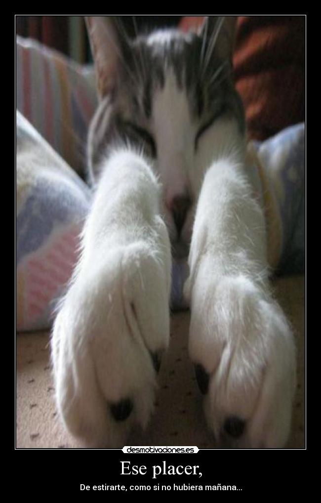 Ese placer, - De estirarte, como si no hubiera mañana...