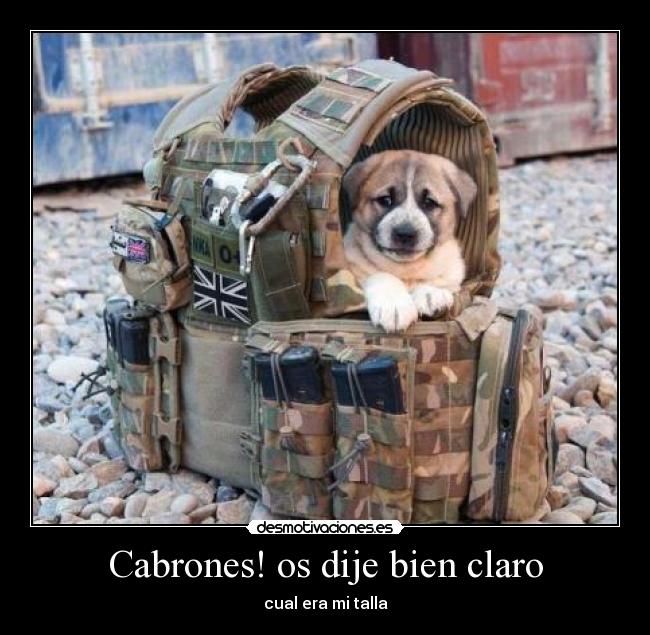 Cabrones! os dije bien claro - 