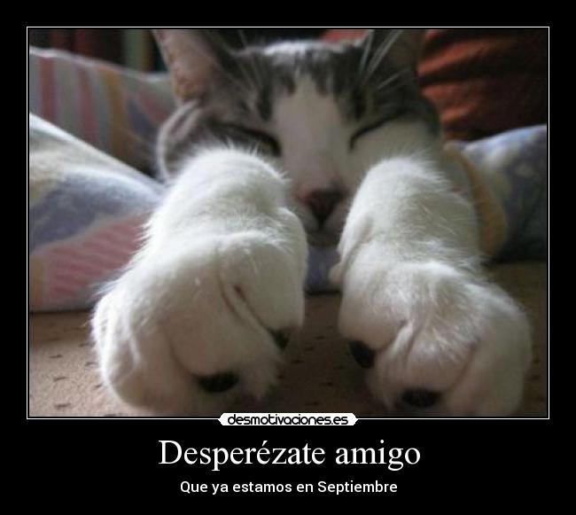 Desperézate amigo -