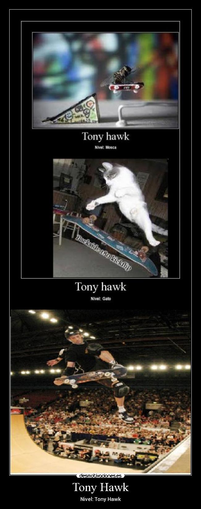 Tony Hawk - Nivel: Tony Hawk