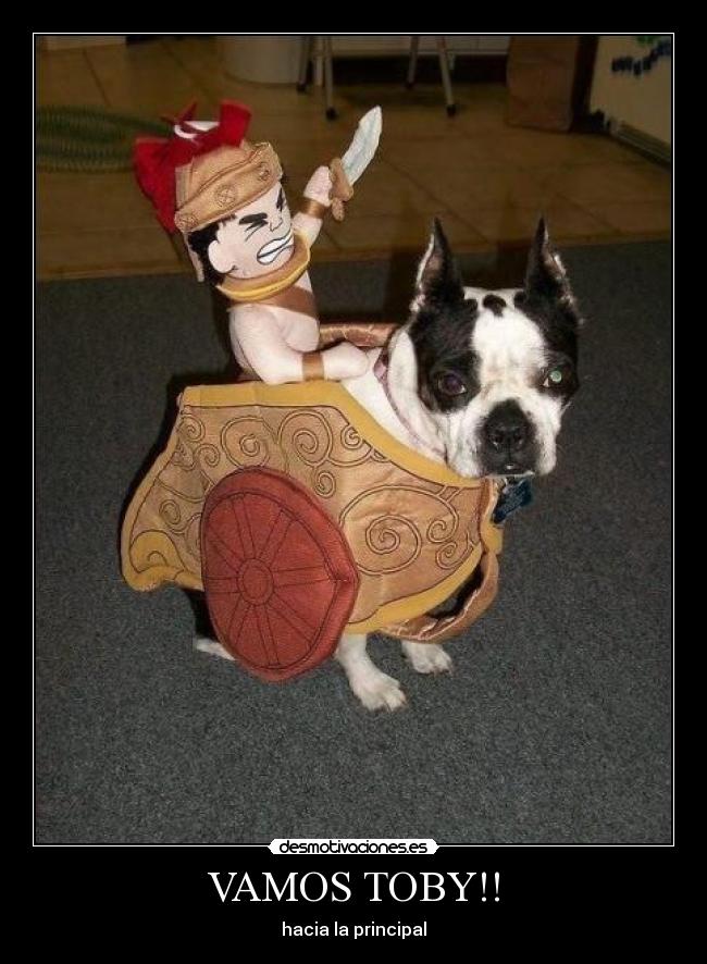 VAMOS TOBY!! - hacia la principal