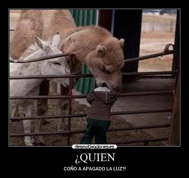 ¿QUIEN - 