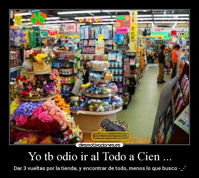 Yo tb odio ir al Todo a Cien ... - Dar 3 vueltas por la tienda, y encontrar de todo, menos lo que busco -_-
