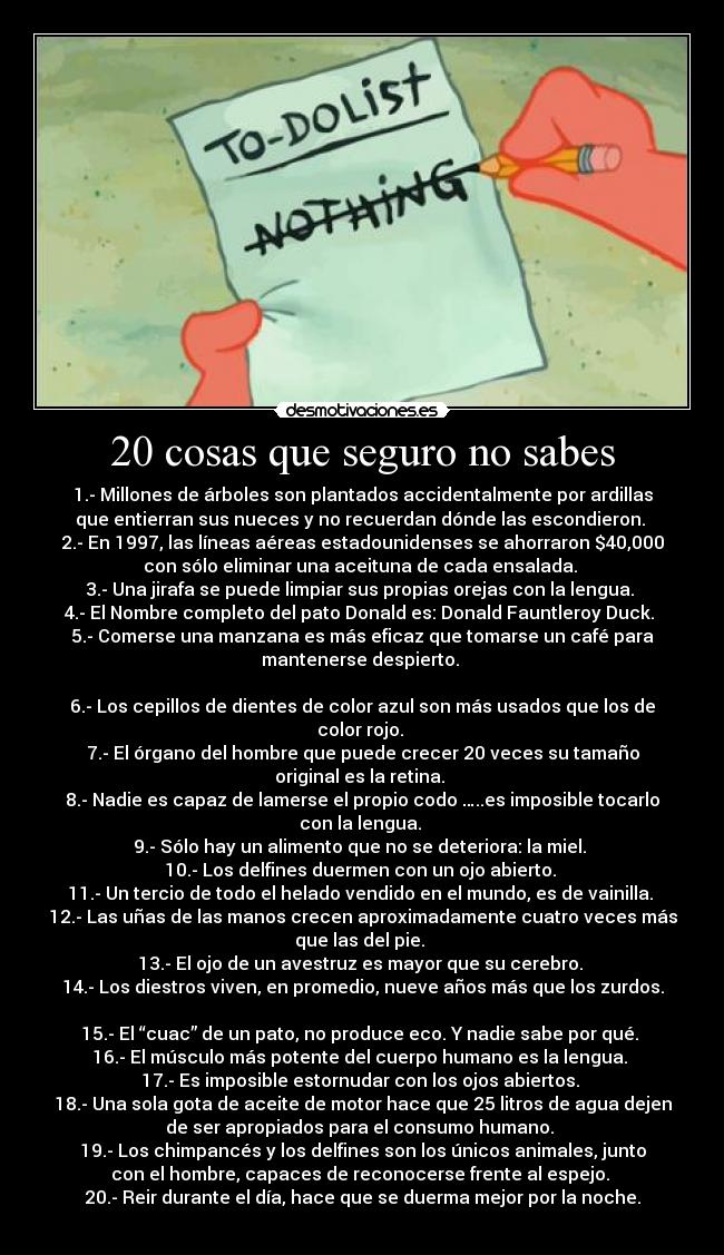 20 cosas que seguro no sabes - 1.- Millones de árboles son plantados accidentalmente por ardillas
que entierran sus nueces y no recuerdan dónde las escondieron. 
2.- En 1997, las líneas aéreas estadounidenses se ahorraron $40,000
con sólo eliminar una aceituna de cada ensalada. 
3.- Una jirafa se puede limpiar sus propias orejas con la lengua. 
4.- El Nombre completo del pato Donald es: Donald Fauntleroy Duck. 
5.- Comerse una manzana es más eficaz que tomarse un café para
mantenerse despierto. 

6.- Los cepillos de dientes de color azul son más usados que los de
color rojo. 
7.- El órgano del hombre que puede crecer 20 veces su tamaño
original es la retina. 
8.- Nadie es capaz de lamerse el propio codo …..es imposible tocarlo
con la lengua. 
9.- Sólo hay un alimento que no se deteriora: la miel. 
10.- Los delfines duermen con un ojo abierto. 
11.- Un tercio de todo el helado vendido en el mundo, es de vainilla. 
12.- Las uñas de las manos crecen aproximadamente cuatro veces más
que las del pie. 
13.- El ojo de un avestruz es mayor que su cerebro. 
14.- Los diestros viven, en promedio, nueve años más que los zurdos.

15.- El “cuac” de un pato, no produce eco. Y nadie sabe por qué. 
16.- El músculo más potente del cuerpo humano es la lengua. 
17.- Es imposible estornudar con los ojos abiertos. 
18.- Una sola gota de aceite de motor hace que 25 litros de agua dejen
de ser apropiados para el consumo humano. 
19.- Los chimpancés y los delfines son los únicos animales, junto
con el hombre, capaces de reconocerse frente al espejo. 
20.- Reir durante el día, hace que se duerma mejor por la noche.
