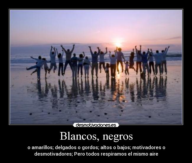 Blancos, negros - 
