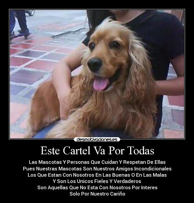 Este Cartel Va Por Todas - 