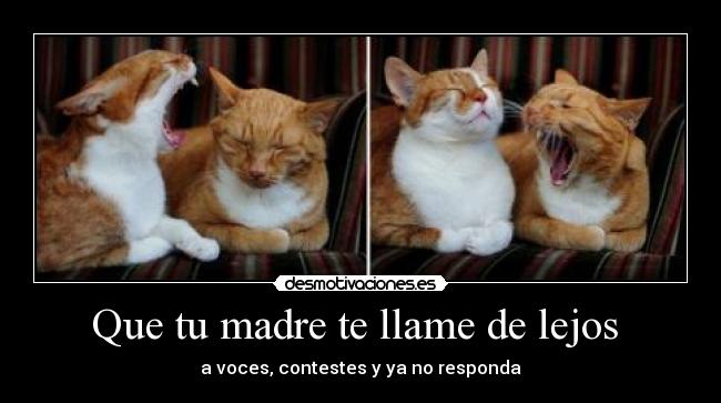 Que tu madre te llame de lejos  - 