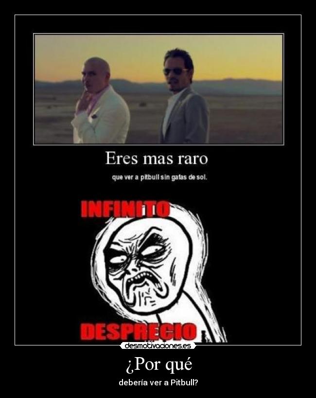 ¿Por qué - debería ver a Pitbull?