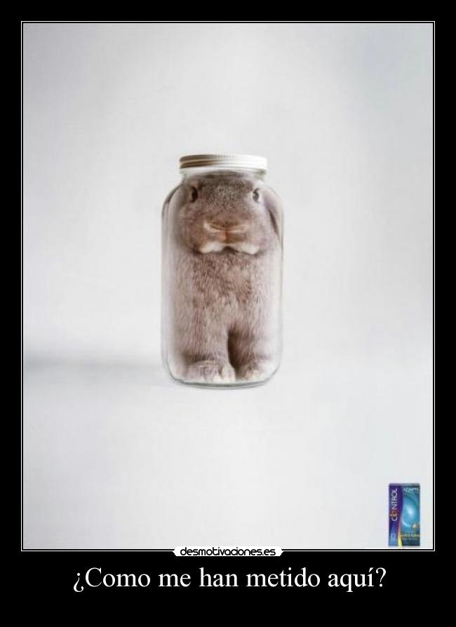 ¿Como me han metido aquí? - 