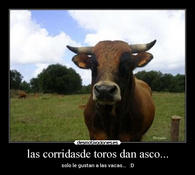 las corridasde toros dan asco... - 
