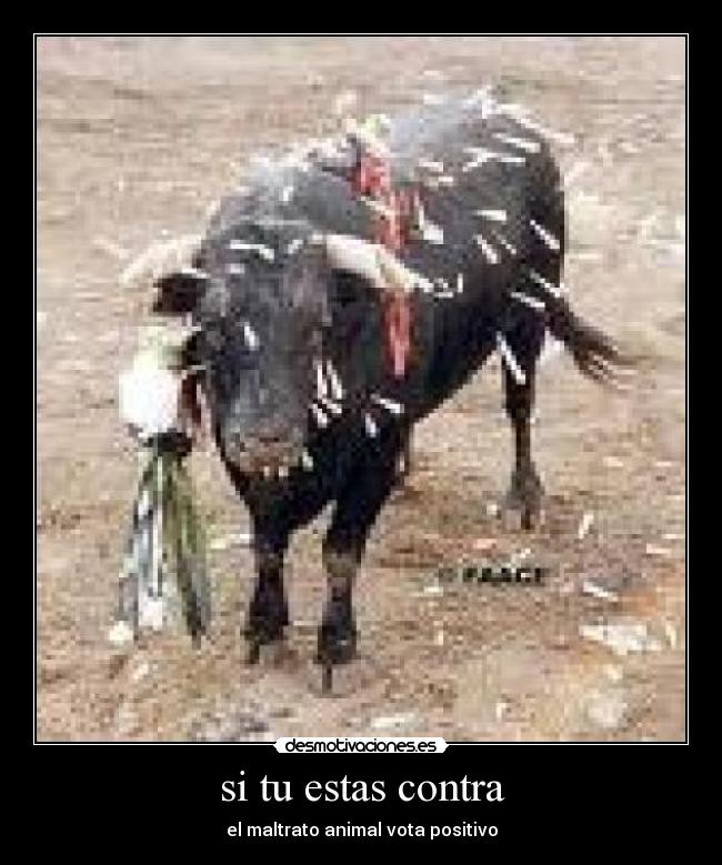 si tu estas contra -