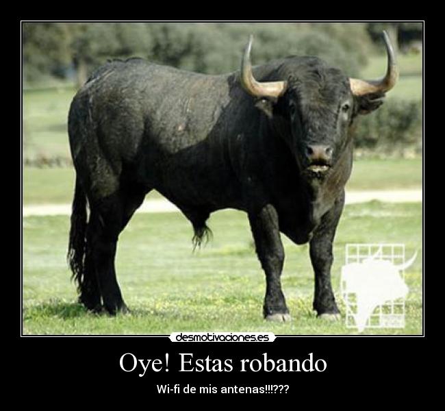 Oye! Estas robando - Wi-fi de mis antenas!!!???
