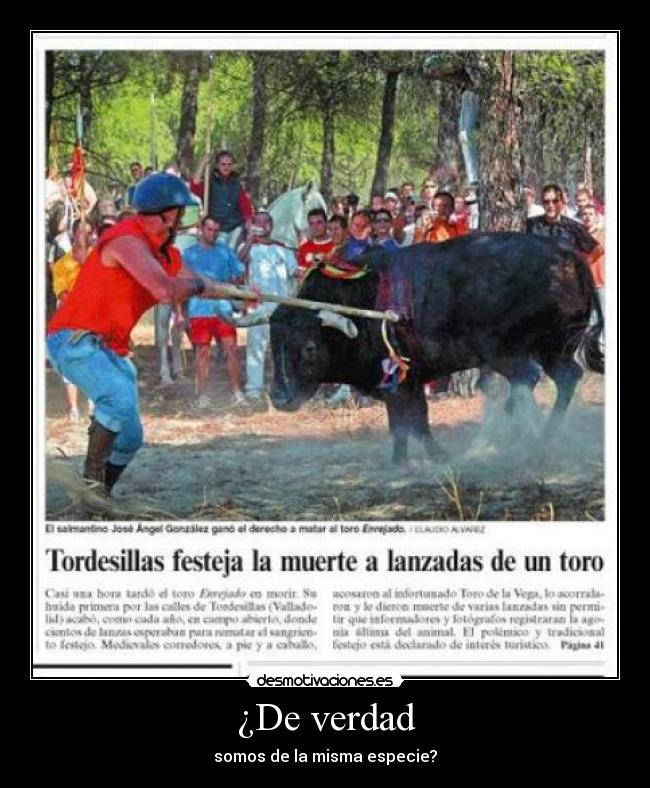 ¿De verdad - somos de la misma especie?