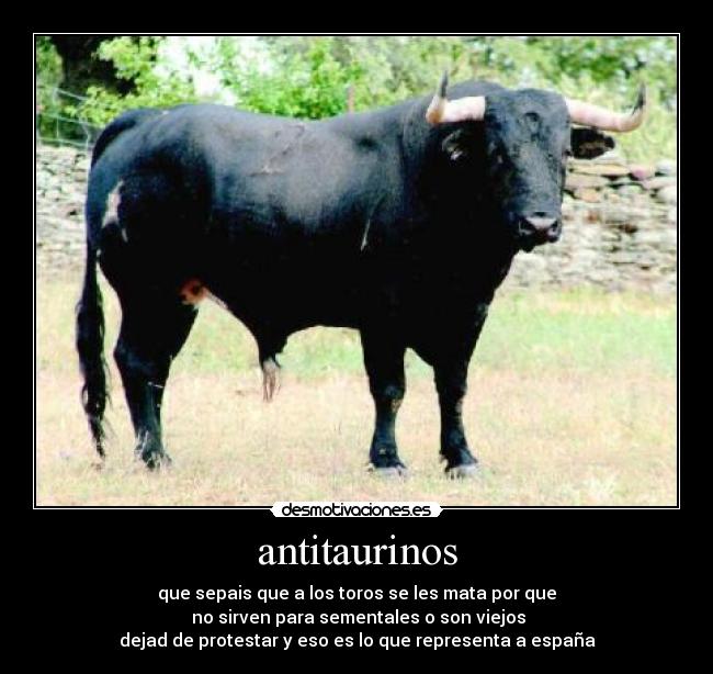 antitaurinos - que sepais que a los toros se les mata por que
 no sirven para sementales o son viejos
dejad de protestar y eso es lo que representa a españa