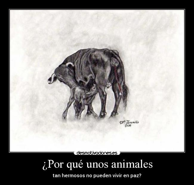 ¿Por qué unos animales -