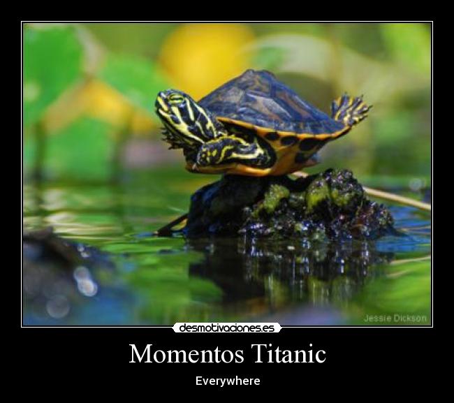 Momentos Titanic - Everywhere
