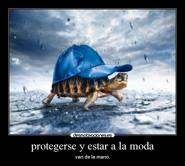 carteles jajaja desmotivaciones