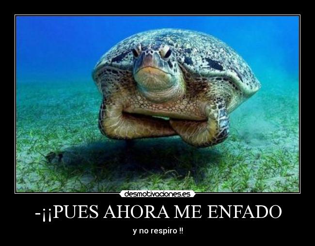 -¡¡PUES AHORA ME ENFADO - 