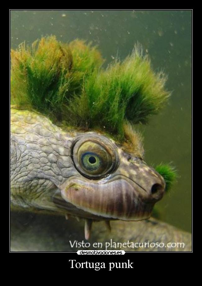 carteles fdfd desmotivaciones