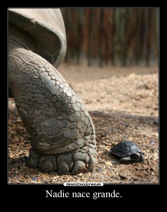 Nadie nace grande. - 