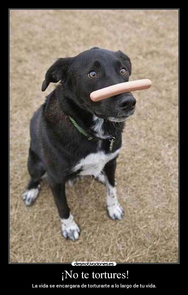¡No te tortures! - La vida se encargara de torturarte a lo largo de tu vida.