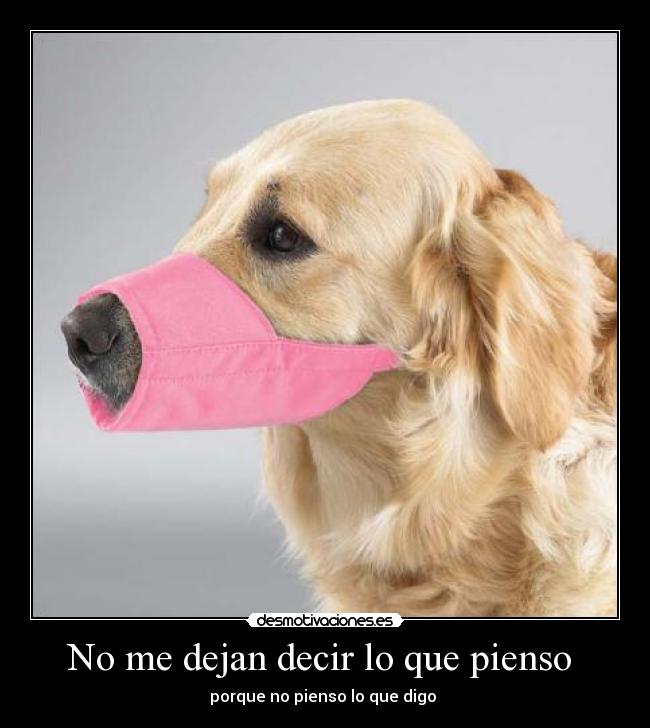 No me dejan decir lo que pienso - porque no pienso lo que digo